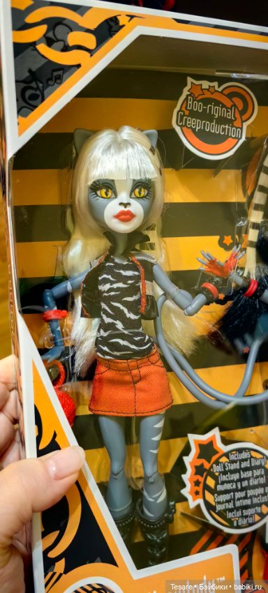 Пополнение в кошачьем царстве