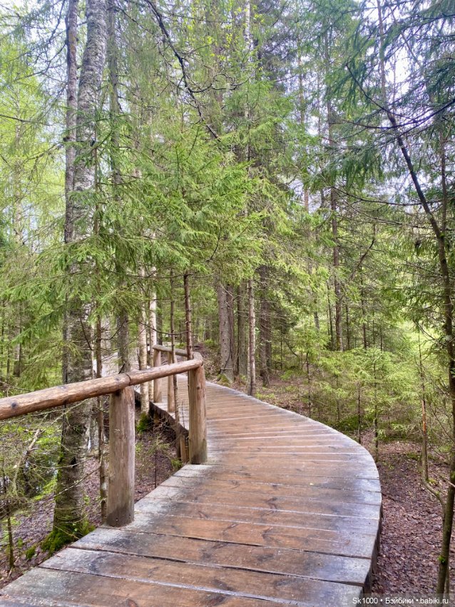 Край тысячи озер — Туризм и путешествия: фотоотчеты из поездок