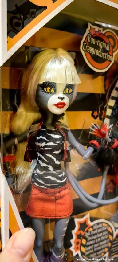 Пополнение в кошачьем царстве