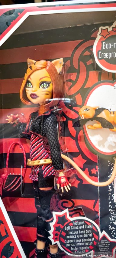 Пополнение в кошачьем царстве