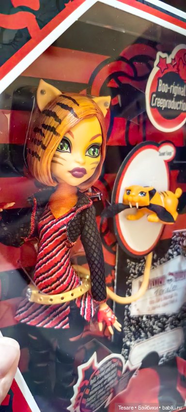 Пополнение в кошачьем царстве