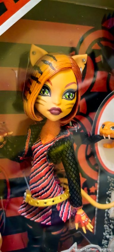 Пополнение в кошачьем царстве