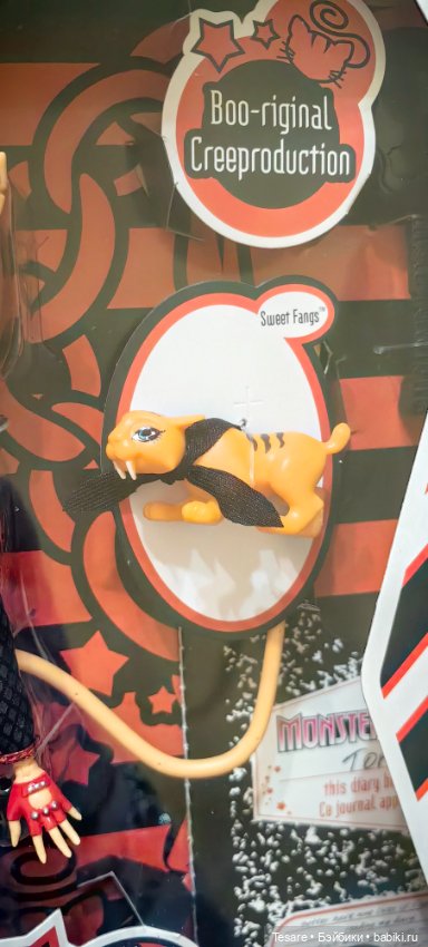 Пополнение в кошачьем царстве