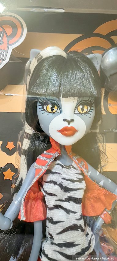 Пополнение в кошачьем царстве