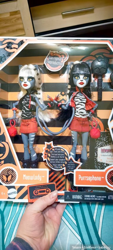 Пополнение в кошачьем царстве (фото 8)