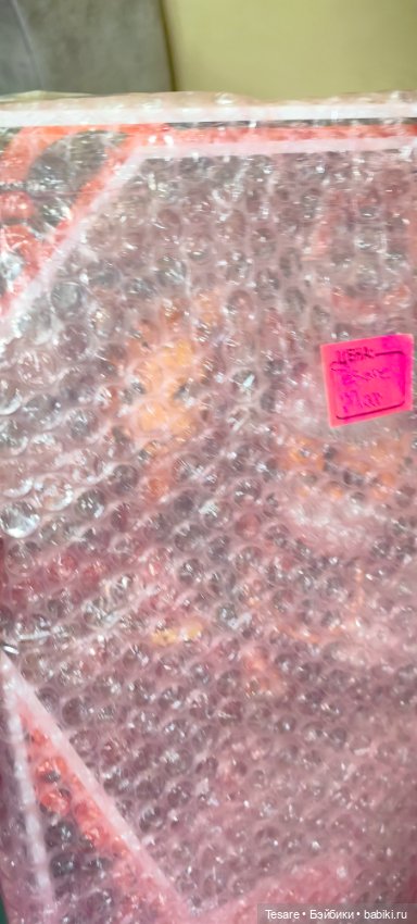 Пополнение в кошачьем царстве (фото 4)