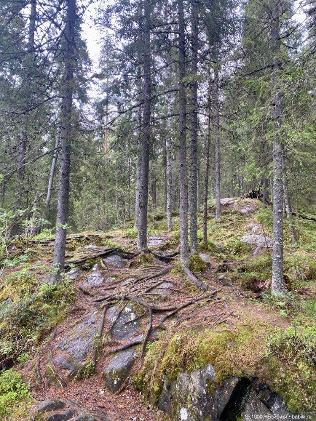 Край тысячи озер — Туризм и путешествия: фотоотчеты из поездок