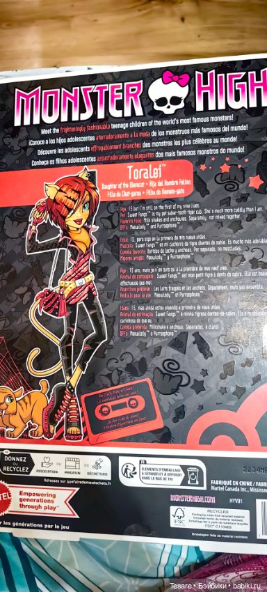 Пополнение в кошачьем царстве (фото 10)