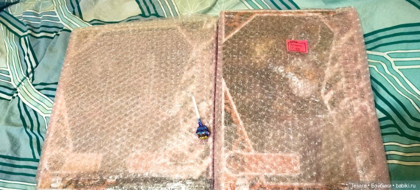 Пополнение в кошачьем царстве (фото 3)