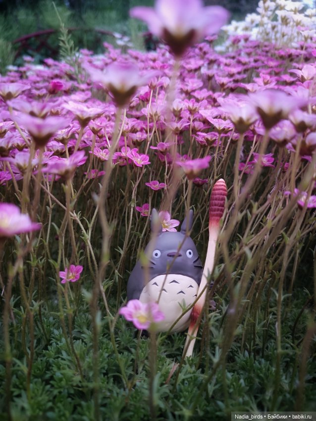 Юки и волшебный народец. Часть 1 (фото 6)