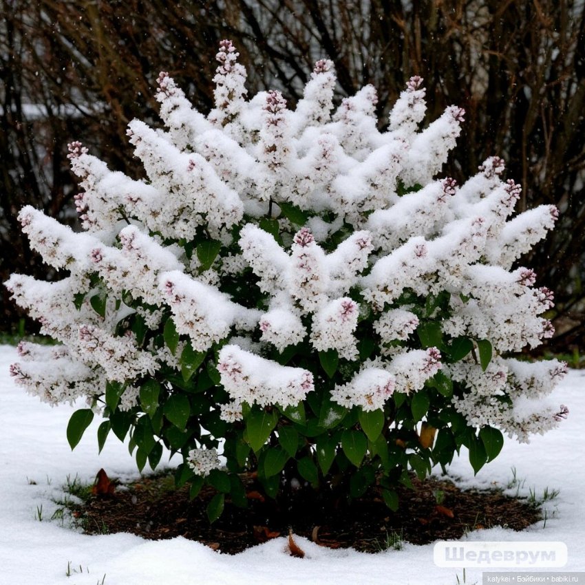 Здоровое питание — Рисование и арт: скетчи