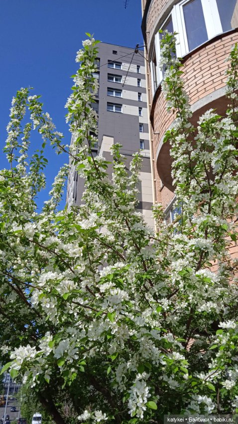 Здоровое питание — Рисование и арт: скетчи