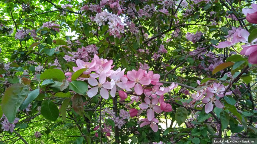 Здоровое питание — Рисование и арт: скетчи