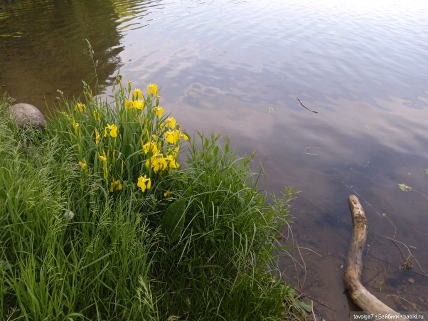 2 июня 2025 у реки — Игровые куклы разных производителей (Разное): редкие бренды (фото 6)