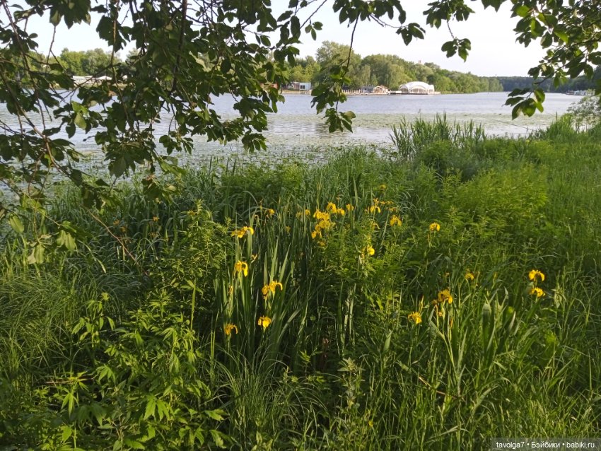 2 июня 2025 у реки — Игровые куклы разных производителей (Разное): редкие бренды (фото 9)