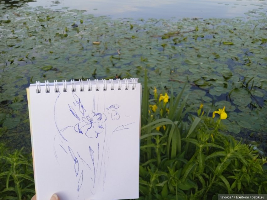 2 июня 2025 у реки — Игровые куклы разных производителей (Разное): редкие бренды