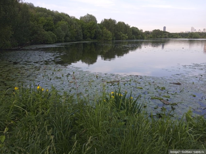 2 июня 2025 у реки — Игровые куклы разных производителей (Разное): редкие бренды