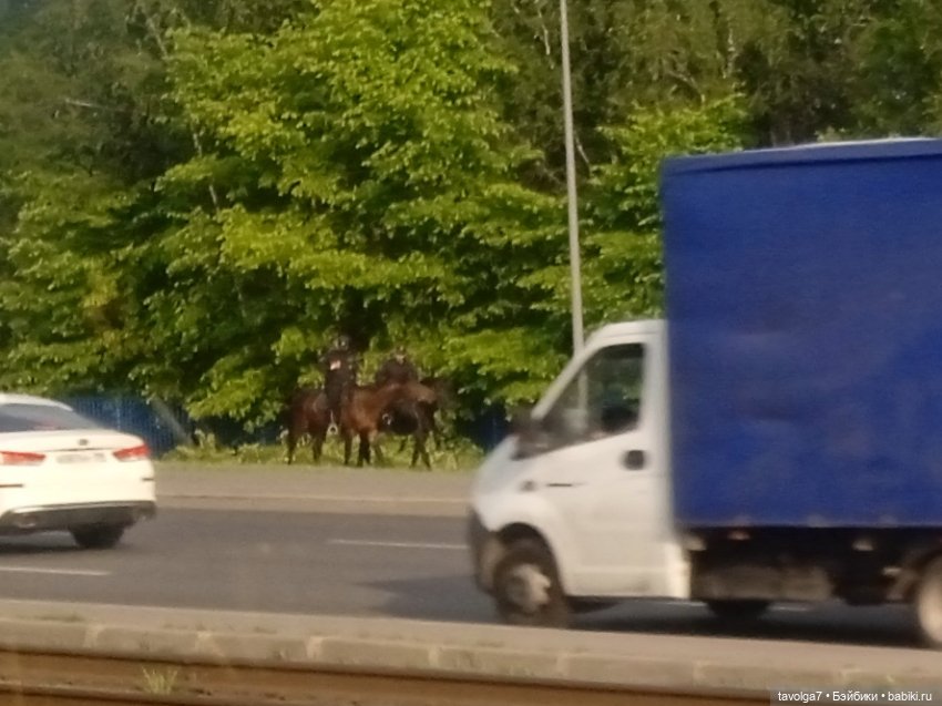 2 июня 2025 у реки — Игровые куклы разных производителей (Разное): редкие бренды (фото 3)