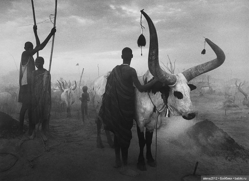 Себастьян Салгаду (Sebastião Salgado )фотографии о жизни людей