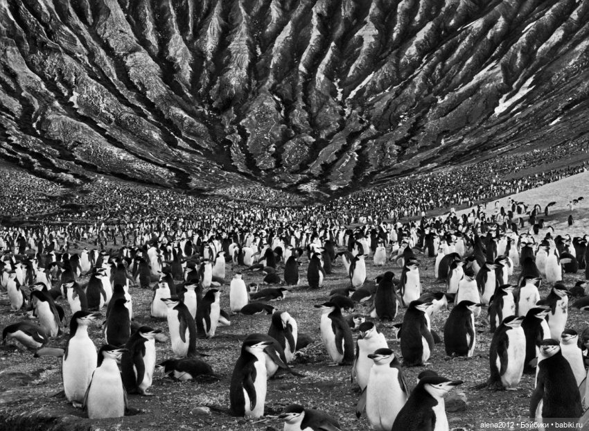 Себастьян Салгаду (Sebastião Salgado )фотографии о жизни людей