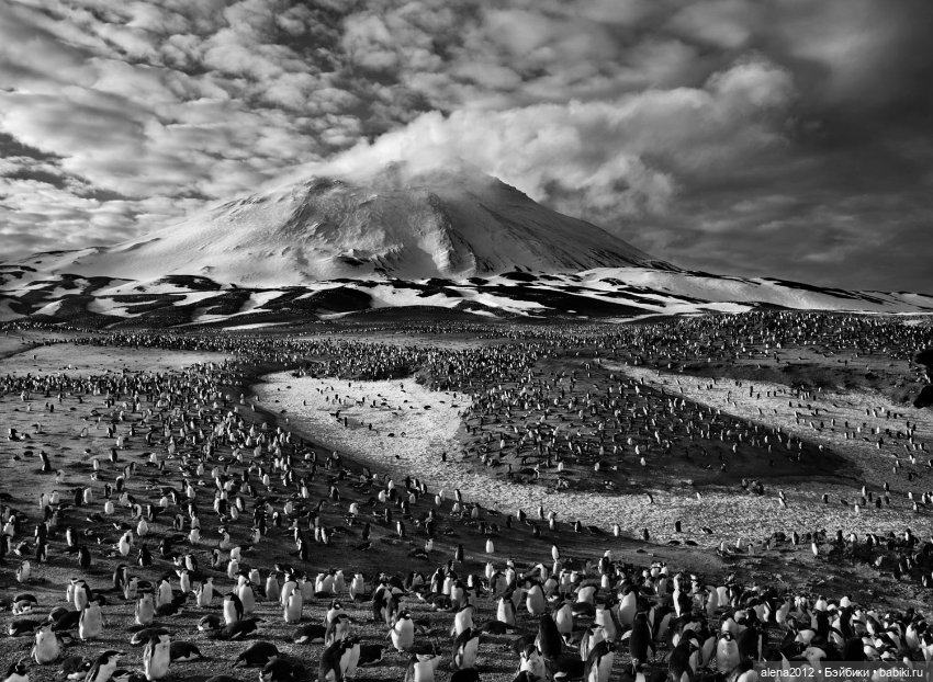 Себастьян Салгаду (Sebastião Salgado )фотографии о жизни людей