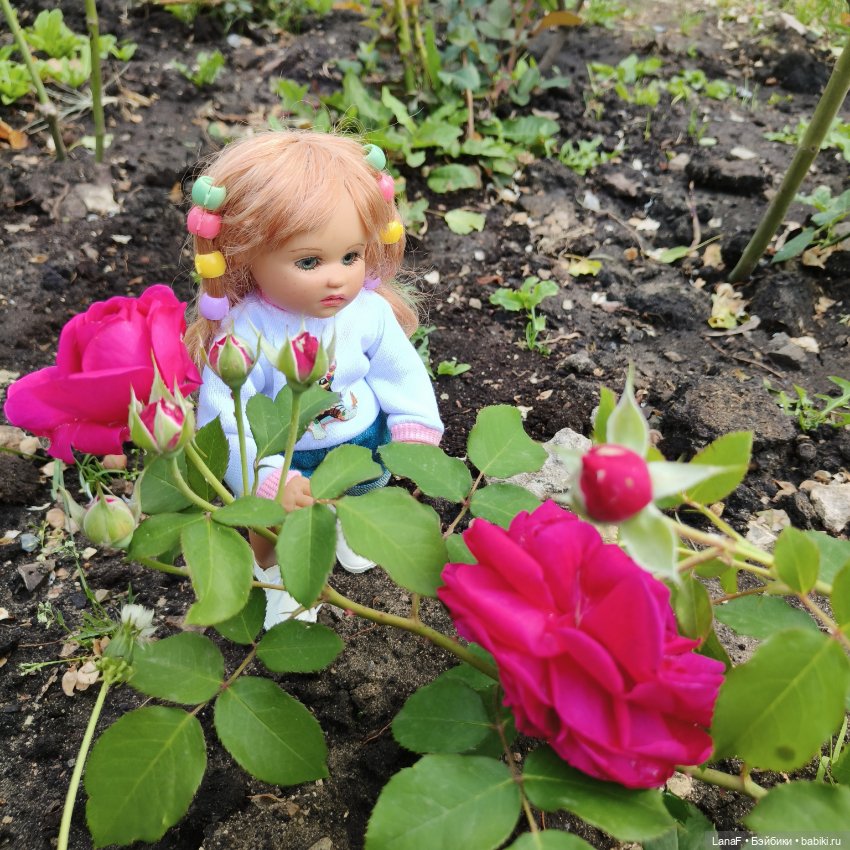 Эмили и розочки ( кукла Габриэль Мюллер)