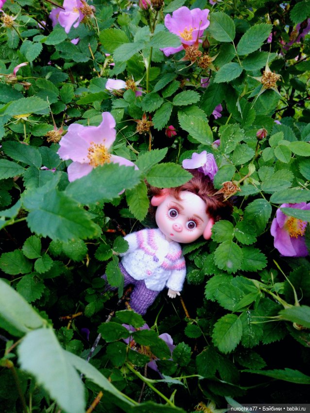 Про Нафочку. В догонку ушедшему маю (фото 2)