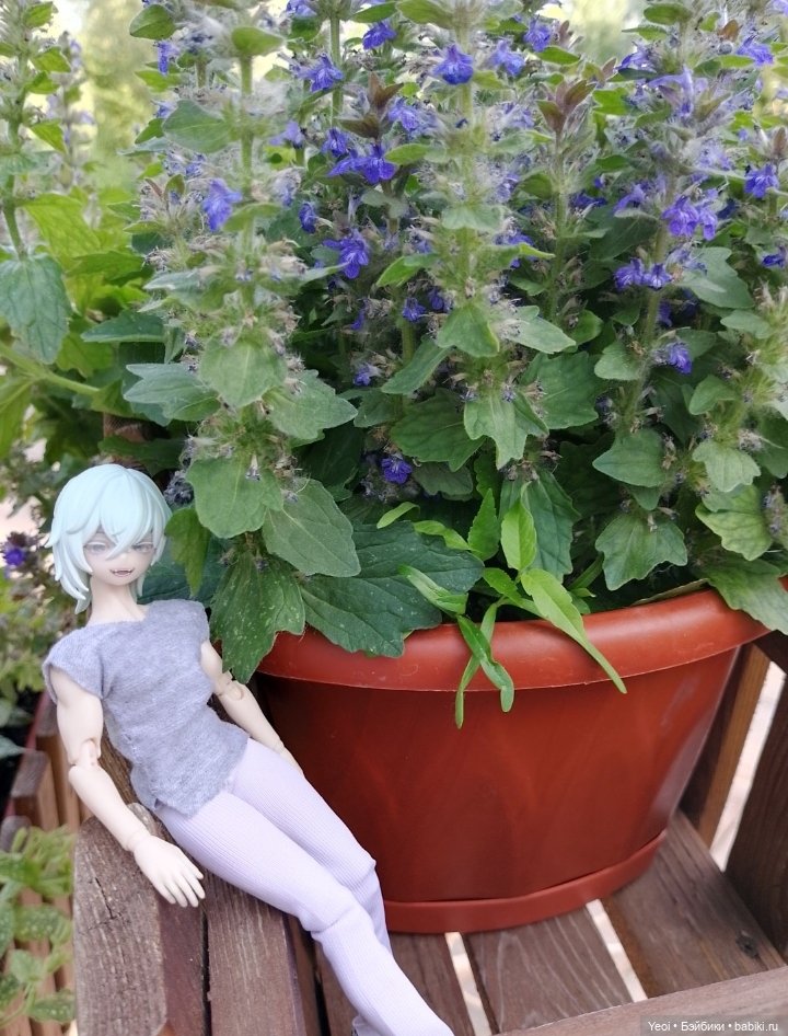 Лучеано встретил Лабубу в парке). 02 (фото 6)