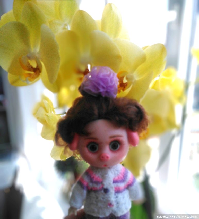 Про Нафочку. В догонку ушедшему маю (фото 4)