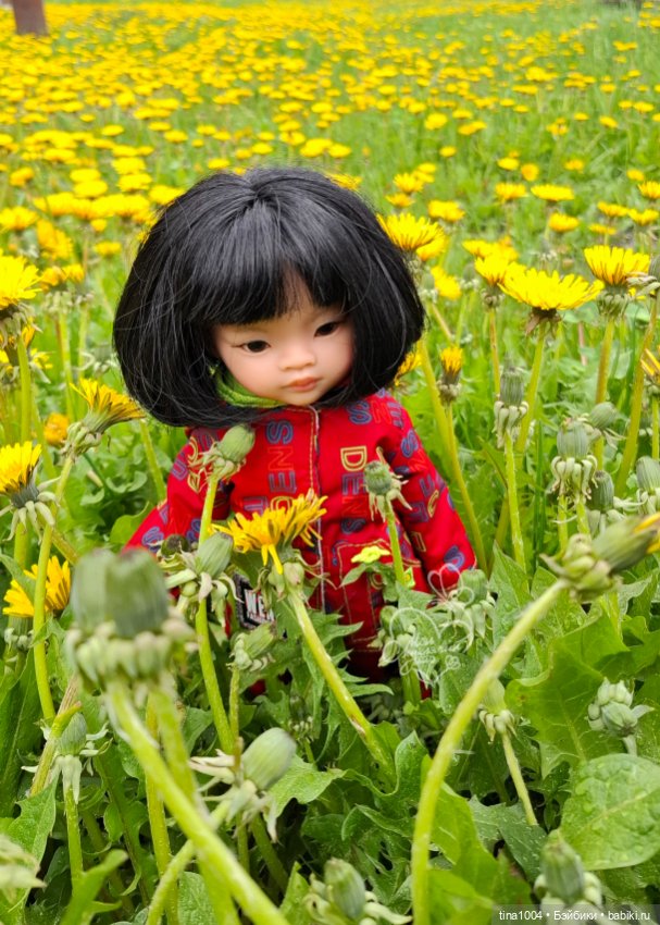 ИЗ ЖИЗНИ КУКОЛ "покатушный сезон 24-25"