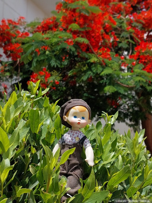 Вовчик в Египте — Интересное обо всем: поздравления (фото 2)