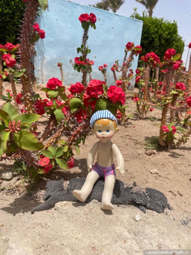 Вовчик в Египте — Интересное обо всем: поздравления