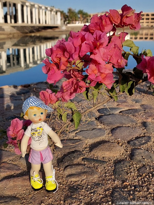 Вовчик в Египте — Интересное обо всем: поздравления (фото 3)