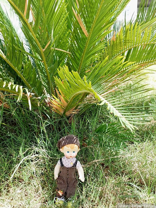 Вовчик в Египте — Интересное обо всем: поздравления (фото 7)