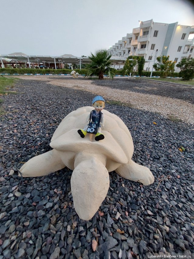 Вовчик в Египте — Интересное обо всем: поздравления