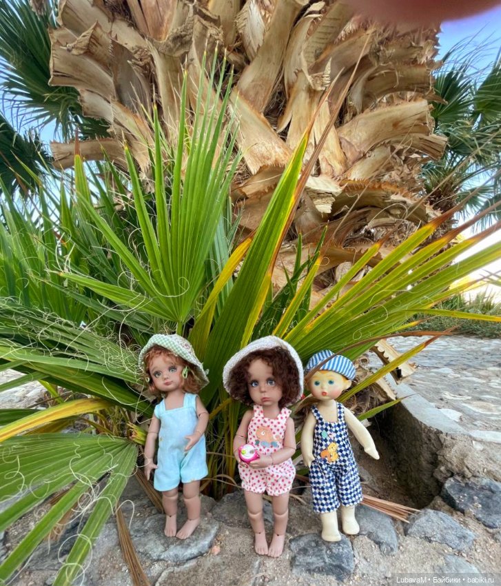 Вовчик в Египте — Интересное обо всем: поздравления