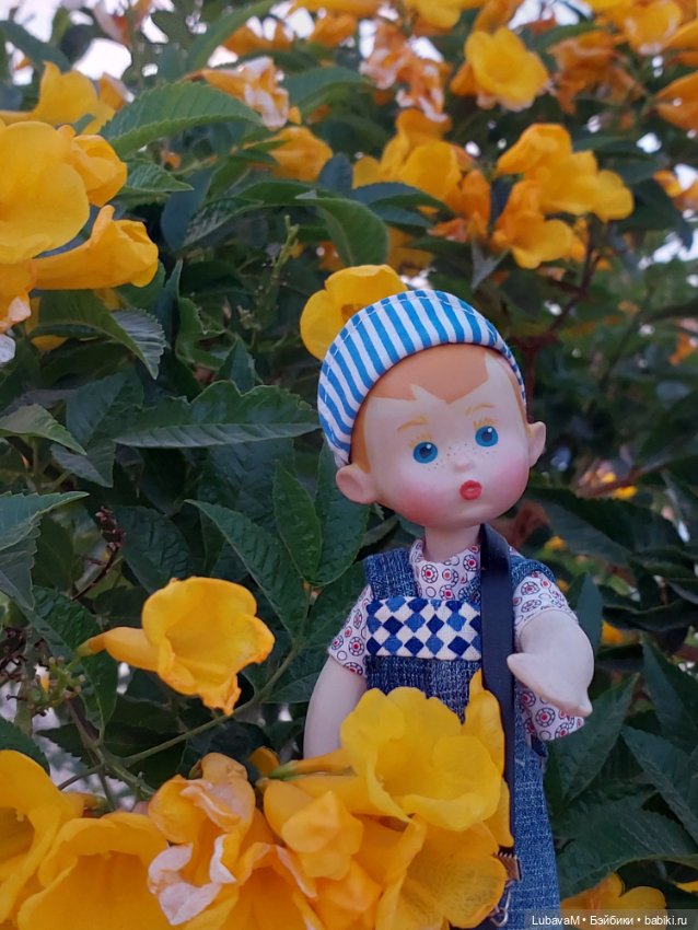 Вовчик в Египте — Интересное обо всем: поздравления