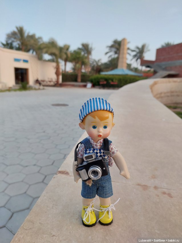 Вовчик в Египте — Интересное обо всем: поздравления