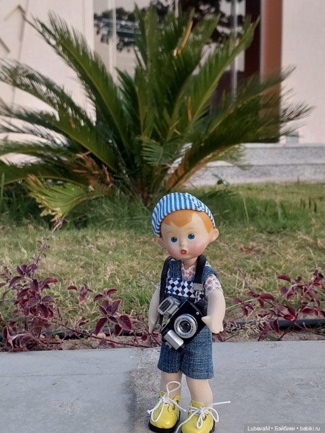 Вовчик в Египте — Интересное обо всем: поздравления