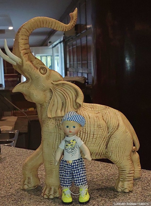 Вовчик в Египте — Интересное обо всем: поздравления