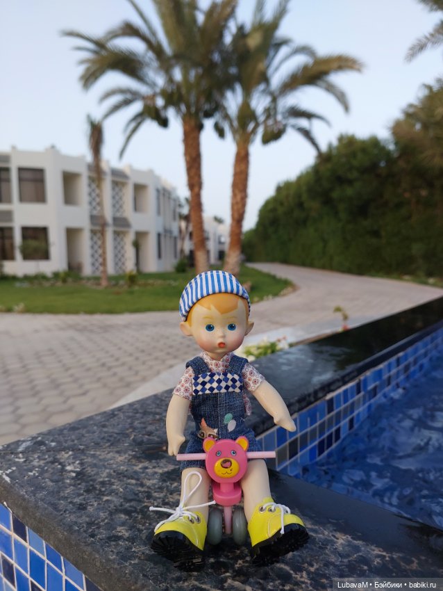 Вовчик в Египте — Интересное обо всем: поздравления