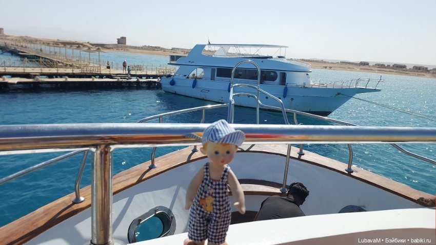 Вовчик в Египте — Интересное обо всем: поздравления