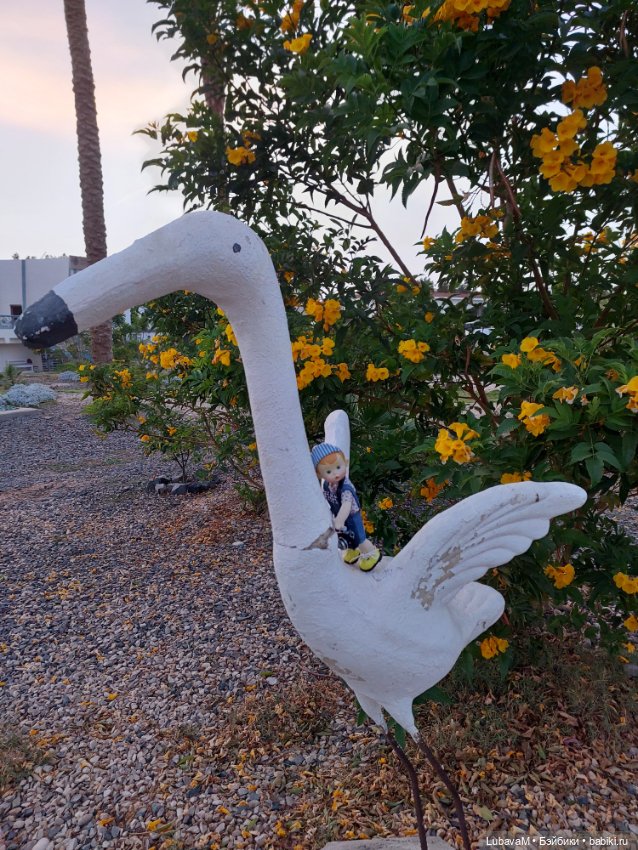 Вовчик в Египте — Интересное обо всем: поздравления