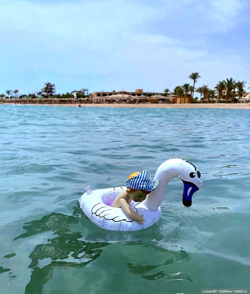 Вовчик в Египте — Интересное обо всем: поздравления