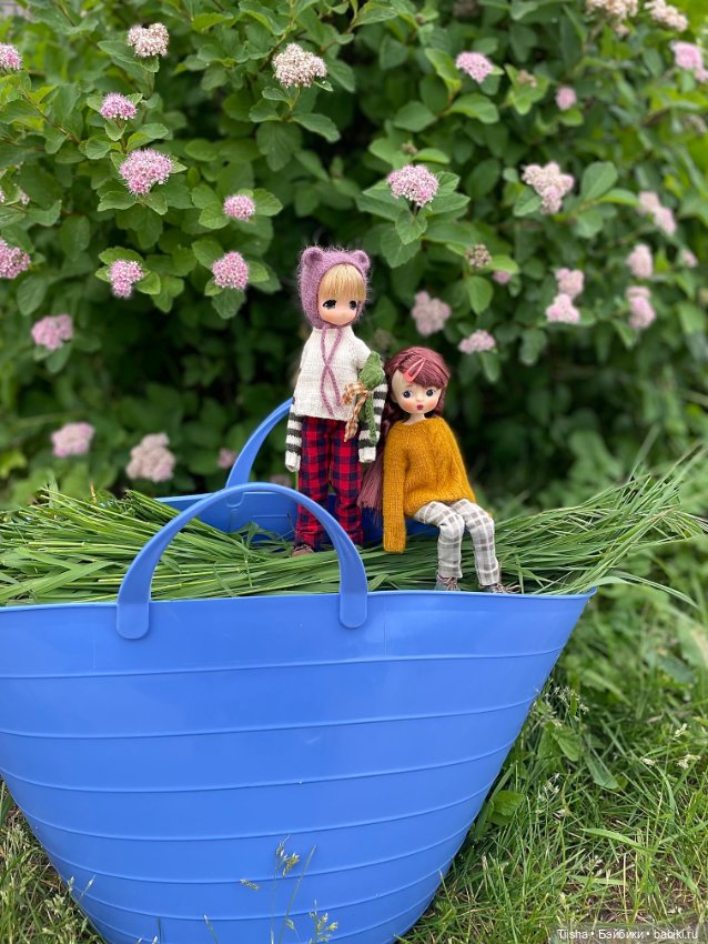 Mamachapp и eggy doll — Куклы и тела Obitsu (Обитсу): 1/6 (фото 2)