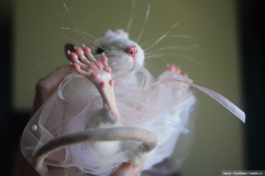 КрЫсота в розовой пачке — Игрушки в смешанной технике (мех и глина): Арт (фото 9)