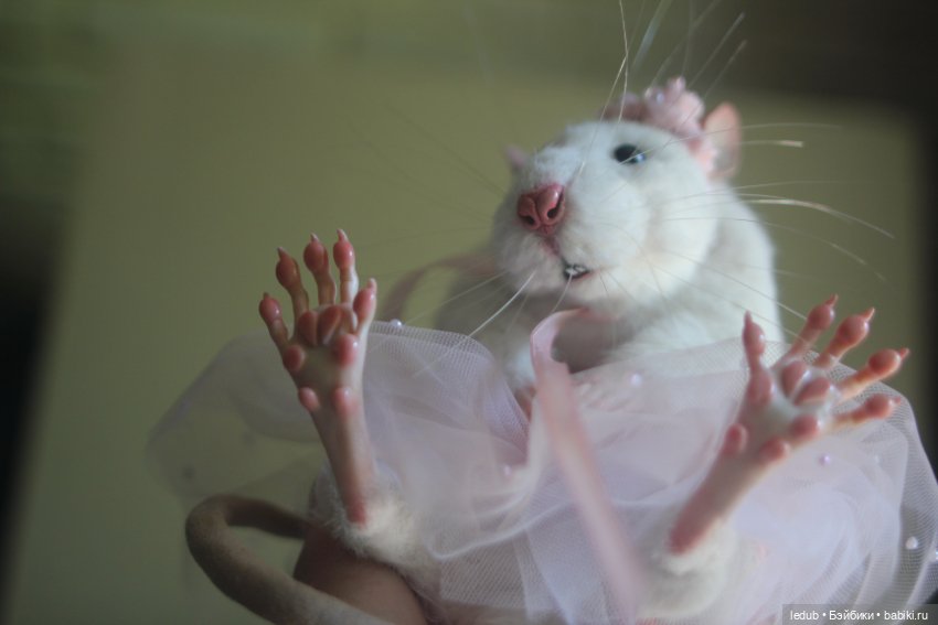 КрЫсота в розовой пачке — Игрушки в смешанной технике (мех и глина): Арт