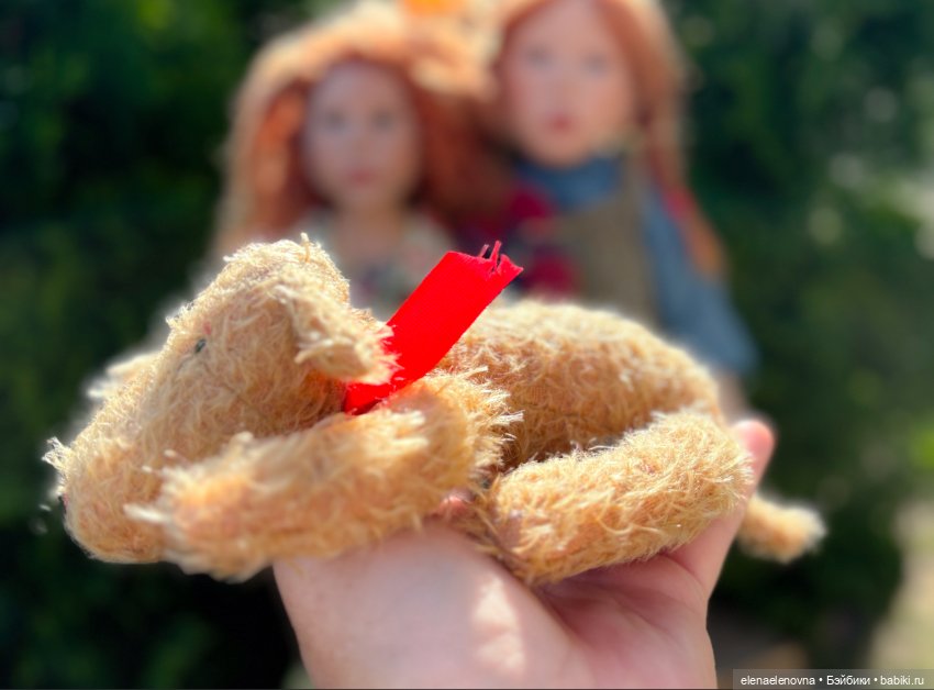 Zwergnase - солнышко любит рыжих ☀️