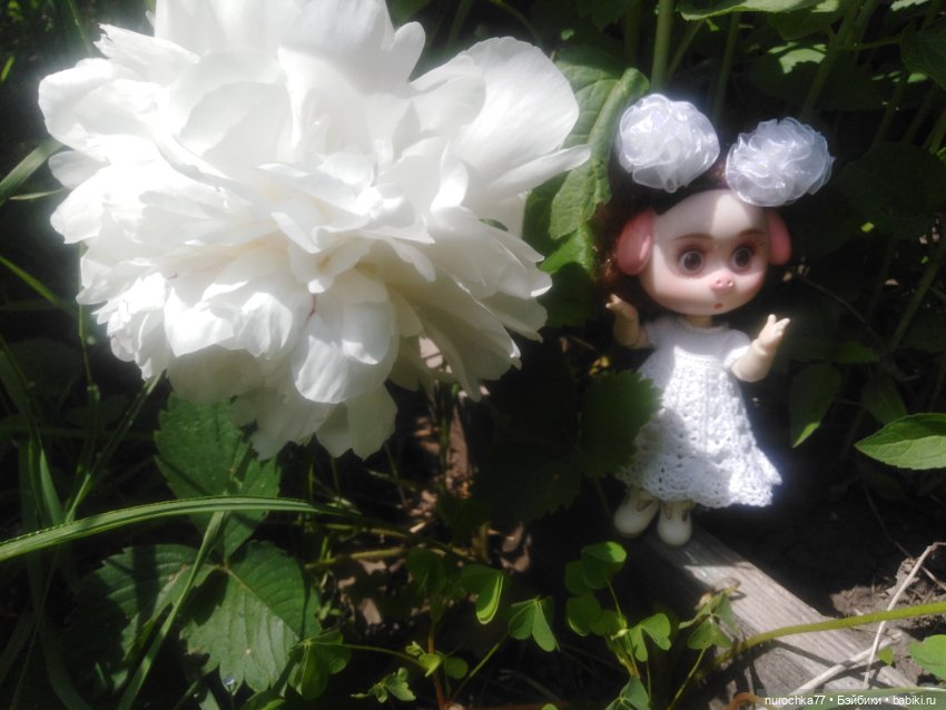 Про Нафочку. В пионах — Гибриды шарнирных кукол (не БЖД): подбор тела (фото 2)