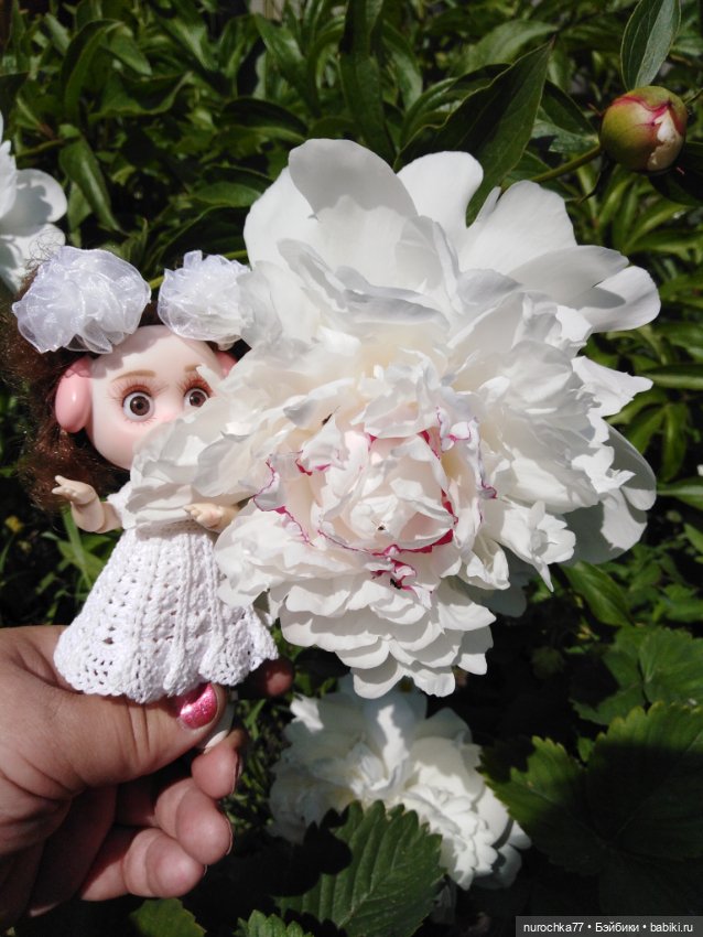 Про Нафочку. В пионах — Гибриды шарнирных кукол (не БЖД): подбор тела (фото 10)